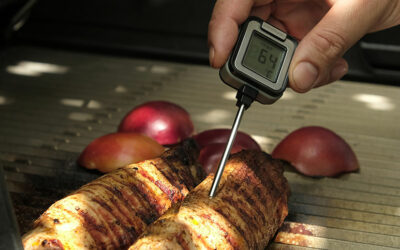 Sonda per la temperatura della carne: come usarla