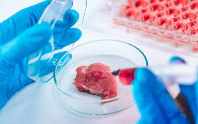 Carne sintetica: allarme del rapporto IPES-Food
