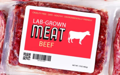 La carne sintetica è sicura?