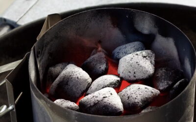 Carbonella, bricchetti o gas?